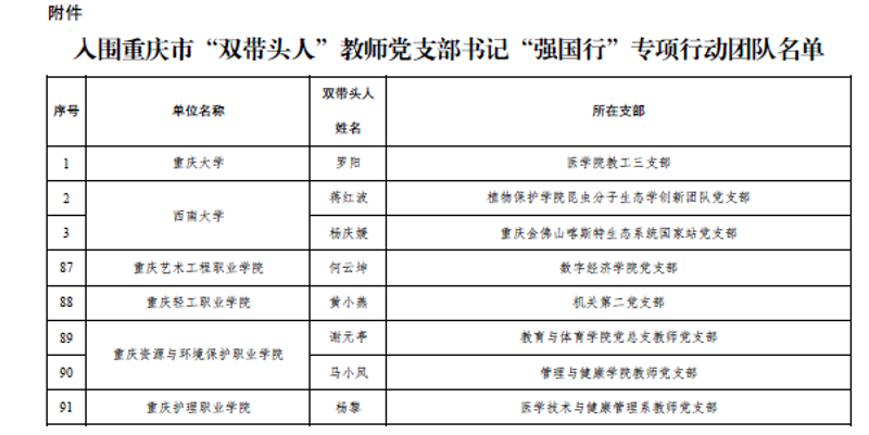 党支部书记“双带头人”.png
